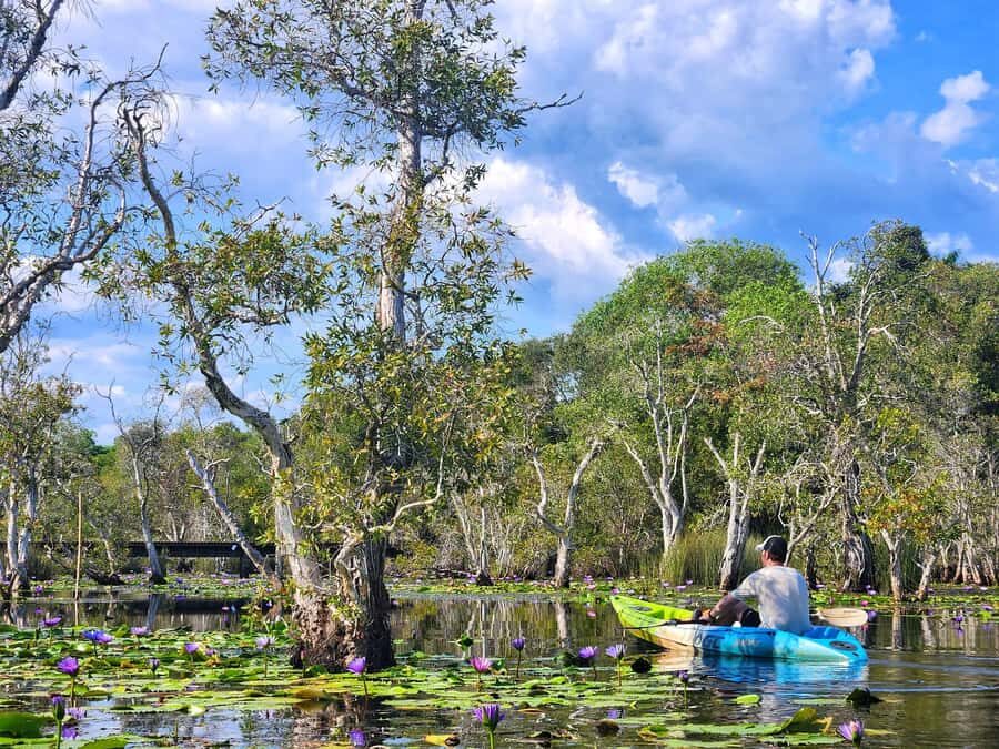 From Pattaya: Rayong Adventure Hike and Kayak Day Trip - The Value of the Tour