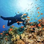 From Pattaya: Snorkeling or Beginner Scuba Diving Tour - Practical Details and What to Consider
