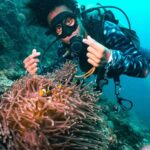 From Phi Phi: Beginner Scuba Diving Day Trip with 2 Dives - Why Youll Value This Experience