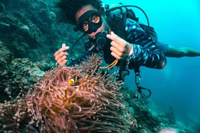 From Phi Phi: Beginner Scuba Diving Day Trip with 2 Dives - Why Youll Value This Experience