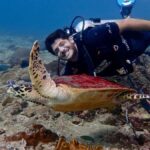 From Phi Phi: Half-Day Trip for Certified Divers (2 Dives) - The Itinerary Breakdown