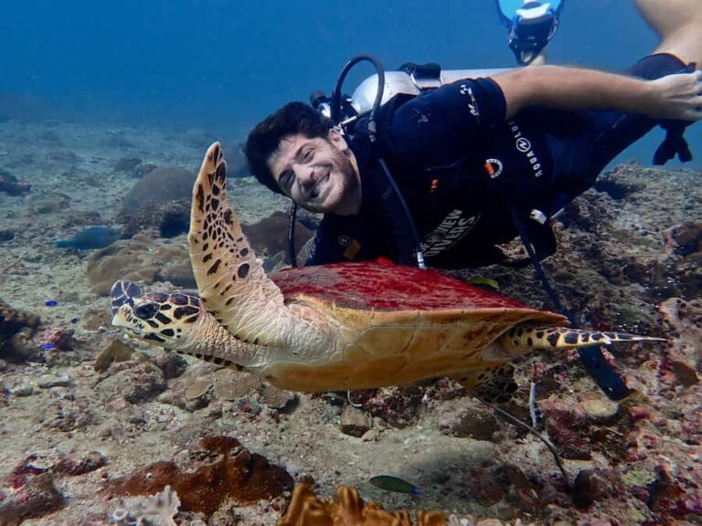 From Phi Phi: Half-Day Trip for Certified Divers (2 Dives) - The Itinerary Breakdown