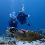 From Phuket: 3-Day SSI/PADI Open Water Diver Certification - What Makes This Course Stand Out?