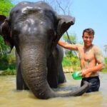 From Phuket: Elephant Sanctuary Tour with Lunch & Pickup - Exploring the Elephant Sanctuary