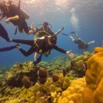 From Phuket: Full-Day Similan Island Scuba Diving Day Trip - Why This Tour Works Well for Certain Travelers