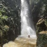 From Phuket: Guided Rainforest Hike with Lunch - The Experience of the Guides & Group Dynamics