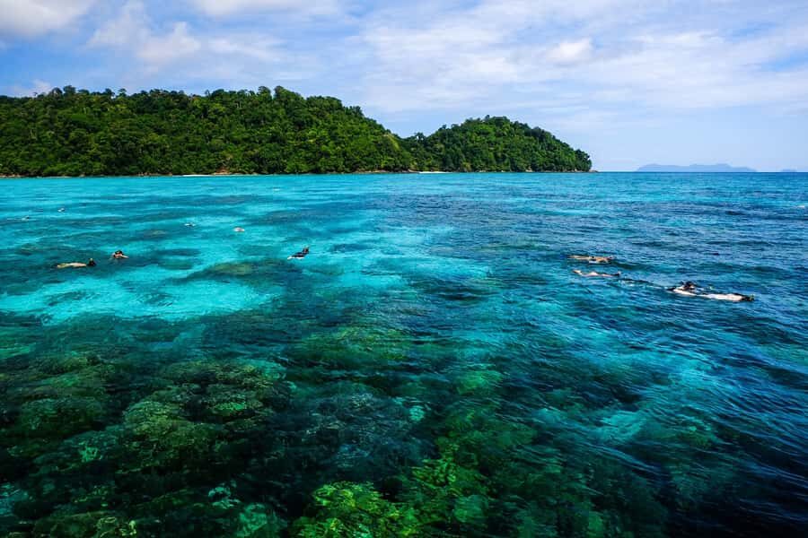 From Phuket/Khaolak: Surin Islands Snorkeling Day Trip - What Makes This Tour Stand Out?