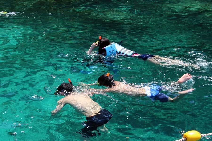 From Phuket: Phi Phi Island Private Full-Day Speedboat Trip - Why This Tour Offers Great Value