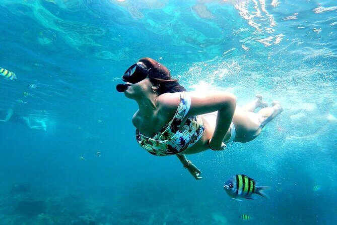 From Phuket: Phi Phi, Maya and Bamboo Islands Full Day Visit - Dining: A Beachfront Buffet