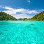 From Phuket: Surin Islands Snorkeling Trip - A Deep Dive Into the Surin Islands Snorkeling Experience