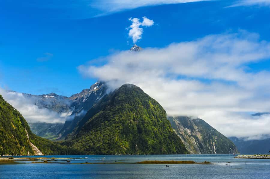 From Queenstown Milford Sound Cruise & Glass-Roof Coach Tour - Who Is This Tour Best For?