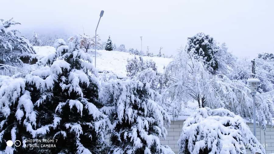 From Samarkand: Zomin Mountains Winter Cable Car Day Trip. - The Itinerary in Detail