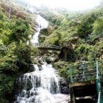 From Sapa: Haft day tour to Silver Waterfall  Love Waterfall - The Experience from Reviews and Insights
