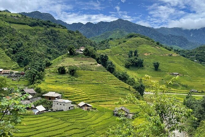 From Sapa: Half-day Guided Trek to Lao Chai & Ta Van with Lunch - Who Would Love This Tour?