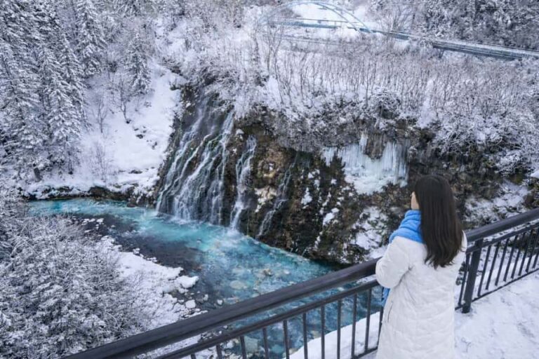 From Sapporo: Asahiyama Zoo, Waterfall & Blue Pond Tour - What Travelers Say About the Experience