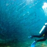 From Semporna: 3-Dive Leisure Underwater Diving Explorations - The Logistics: Meeting, Equipment, and Practical Tips