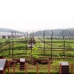 From Seoul: DMZ Group Tour with a French-Speaking Guide - Final Thoughts