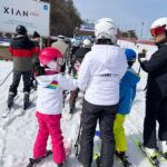 From Seoul: Elysian Ski Resort One Day Tour - Who Should Consider This Tour?