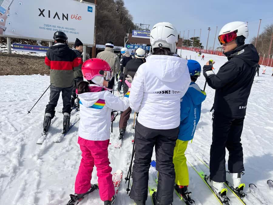 From Seoul: Elysian Ski Resort One Day Tour - Who Should Consider This Tour?