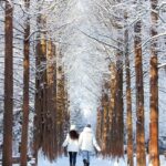 From Seoul: Eobi Ice Valley & Nami Island Day Trip - Analyzing the Value