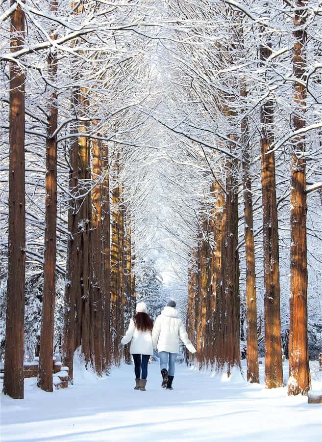 From Seoul: Eobi Ice Valley & Nami Island Day Trip - Analyzing the Value