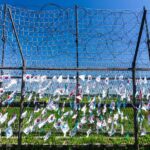 From Seoul Essential Private DMZ Tour - The Practicalities – What to Expect