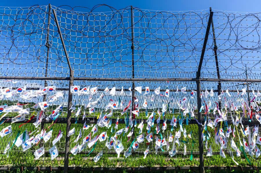 From Seoul Essential Private DMZ Tour - The Practicalities – What to Expect