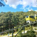 From Seoul: Full-Day Trip to Pocheon`s Nature Attractions - Practical Aspects and Value