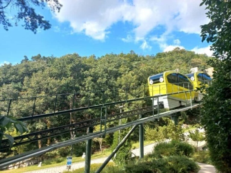 From Seoul: Full-Day Trip to Pocheon`s Nature Attractions - Practical Aspects and Value