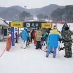 From Seoul: Jisan Forest Resort Ski Full-Day Tour or Shuttle - The Packages: What’s Included & What You Can Expect
