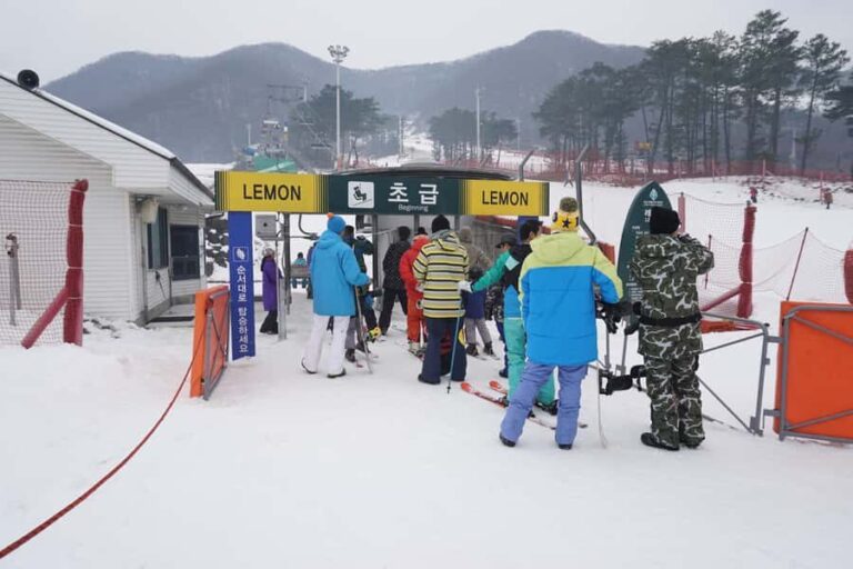 From Seoul: Jisan Forest Resort Ski Full-Day Tour or Shuttle - The Packages: What’s Included & What You Can Expect