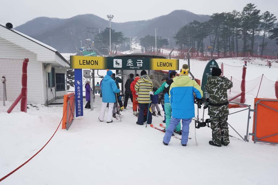 From Seoul: Jisan Forest Resort Ski Full-Day Tour or Shuttle - The Packages: What’s Included & What You Can Expect