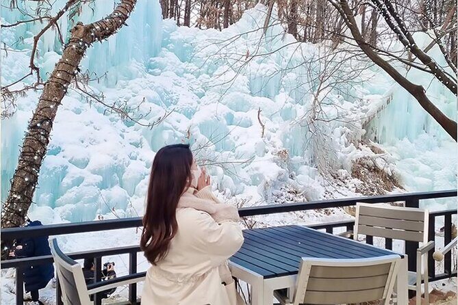 From Seoul : Winter One Day Tour in Pocheon - Analyzing the Value