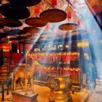 From Shenzhen: Hong Kong Heritage, Skyline & Harbour View - Why This Tour Offers Value