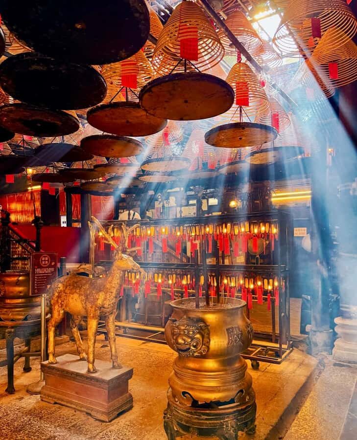 From Shenzhen: Hong Kong Heritage, Skyline & Harbour View - Why This Tour Offers Value