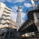 From Shizuoka: Tokyo Private Full-Day Tour with Driver - Itinerary Breakdown: What to Expect on Your Day