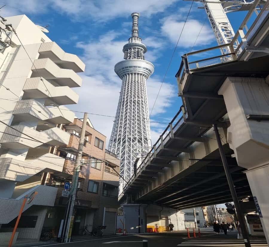 From Shizuoka: Tokyo Private Full-Day Tour with Driver - Itinerary Breakdown: What to Expect on Your Day