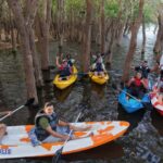 From Sigiriya: Kayaking Through Floating Flowers at Kanthale - The Itinerary: Step-by-Step