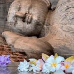 From Sigiriya: Polonnaruwa Day Tour with Minneriya Safari - What Makes This Tour Stand Out?