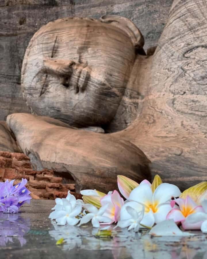 From Sigiriya: Polonnaruwa Day Tour with Minneriya Safari - What Makes This Tour Stand Out?
