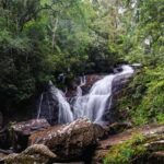 From South Coast: Sinharaja Rainforest Day Trip - Practical Details & Tips