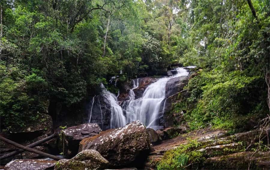 From South Coast: Sinharaja Rainforest Day Trip - Practical Details & Tips