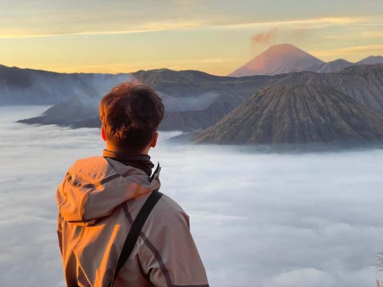 From Surabaya, Malang: Bromo midnight tours (12 hours) - A Deep Dive into the Bromo Midnight Tour