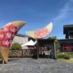 From Taipei to Yilan: Stories of Art, Nature, and Local Life - The Practical Side: What You Need to Know