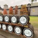 From Taipei to Yilan:Dolphins, Waves, and Whispering Trees - How It All Comes Together