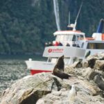 From Te Anau: Milford Sound Extended Cruise and Coach Tour - Stops Along the Way: Scenic Highlights