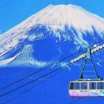 From Tokyo/Hakone/Fuji: Hakone & Mt. Fuji Day Trip w/Pickup - The Heart of the Tour: Hakone