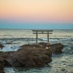 From Tokyo: Hitachi Seaside Park, Sea Torii & Great Buddha - Tasting Japan at Nakaminato Fish Market