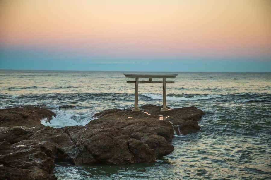 From Tokyo: Hitachi Seaside Park, Sea Torii & Great Buddha - Tasting Japan at Nakaminato Fish Market