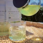 From Tokyo: Kaisei Tea Leaf Picking & Farm-to-Table Lunch - Transportation and Practicalities